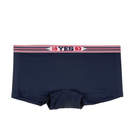 YSWPY113