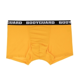 BGMDYS44