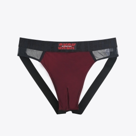 SCMPZB01